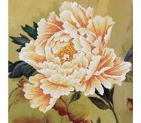 No Count Cross Stitch On Printed Aida 11, Blooming Peony 2